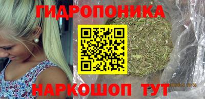винт Можга