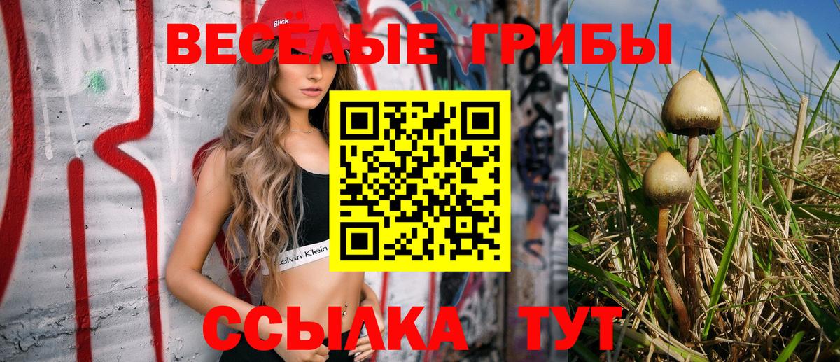 Тавда  Псилоцибиновые грибы мицелий  Вход с VPN  Псилоцибиновые грибы Cubensis 